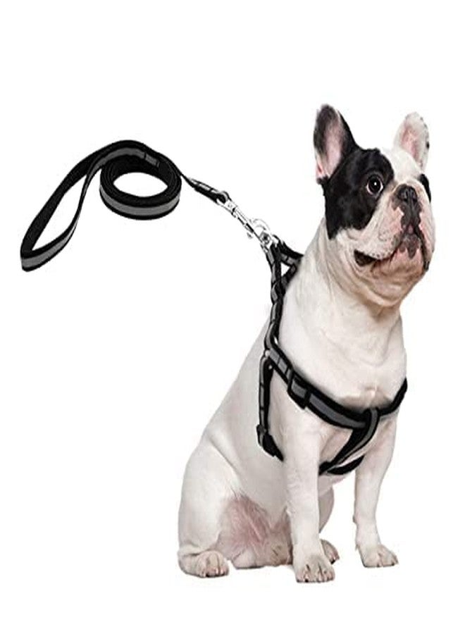 KittuPet Adjustable 15 mm Leash, Harness and Collar Set Reflective Nylon Puppy Harness for All Breeds Dogs, Cat and Puppies - (Color as per Availability) - Image 2